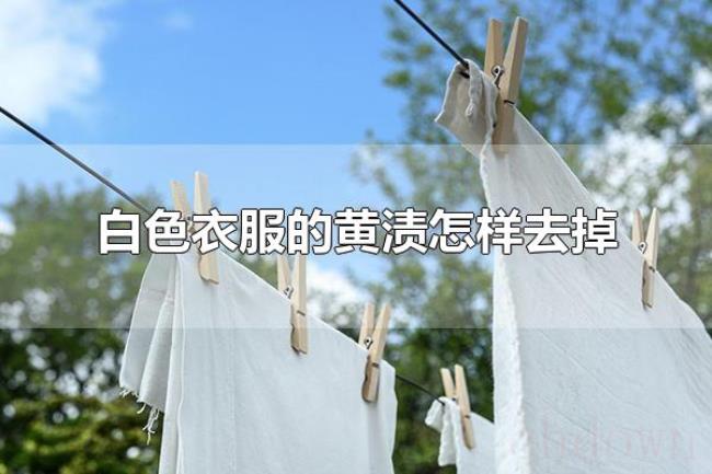 白色衣服的黄渍怎样去掉（白色衣服为什么变黄）