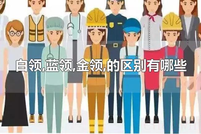白领,蓝领,金领,的区别有哪些（白领、蓝领、金领的不同）