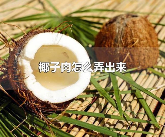 椰子肉怎么弄出来（椰子属于什么类型的植物）