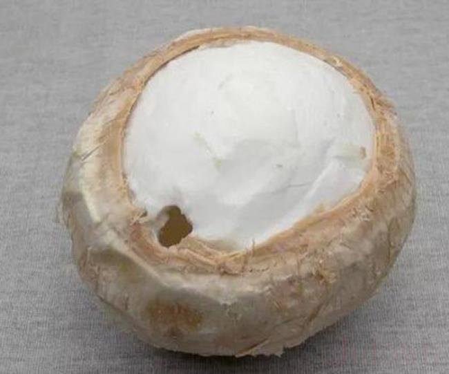 椰子肉怎么弄出来（椰子属于什么类型的植物）