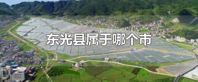东光县属于哪个市（东光县的面积有多大）