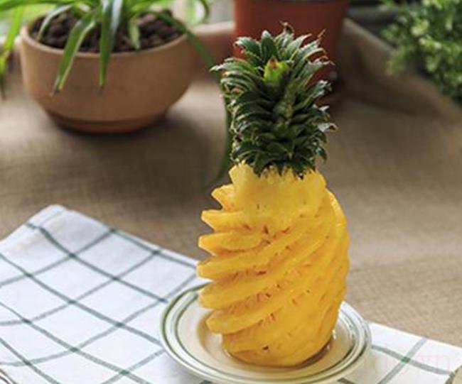 菠萝放一晚要泡着水吗（菠萝属于什么植物）
