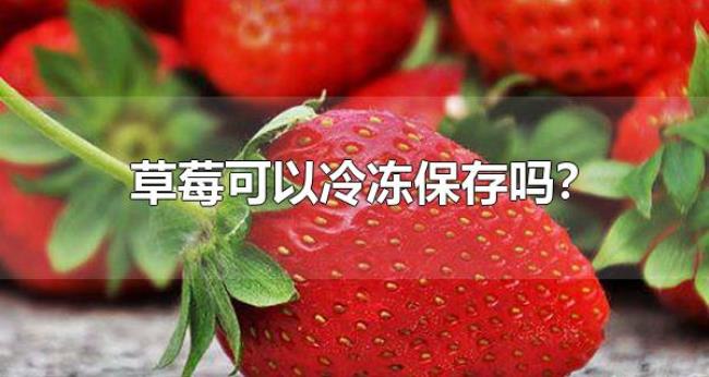 草莓可以冷冻保存吗?(草莓要怎么样保存) 草莓可以冷冻保存吗?(草莓要怎么样保存)
