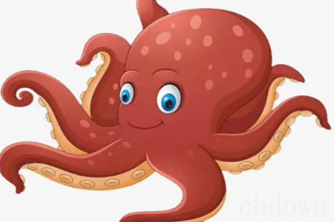 乌贼就是章鱼吗（乌贼并不是章鱼）