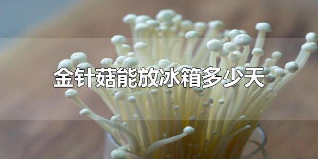 金针菇能放冰箱多少天(金针菇能放冰箱3-5天左右) 金针菇能放冰箱多少天(金针菇能放冰箱3-5天左右)