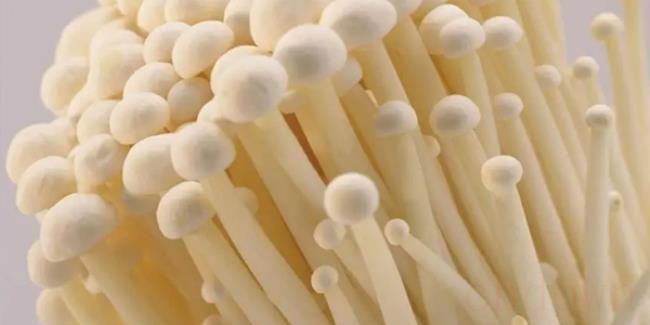金针菇能放冰箱多少天（金针菇能放冰箱3-5天左右）