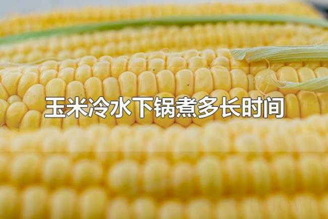 玉米冷水下锅煮多长时间(玉米有什么吃法) 玉米冷水下锅煮多长时间(玉米有什么吃法)