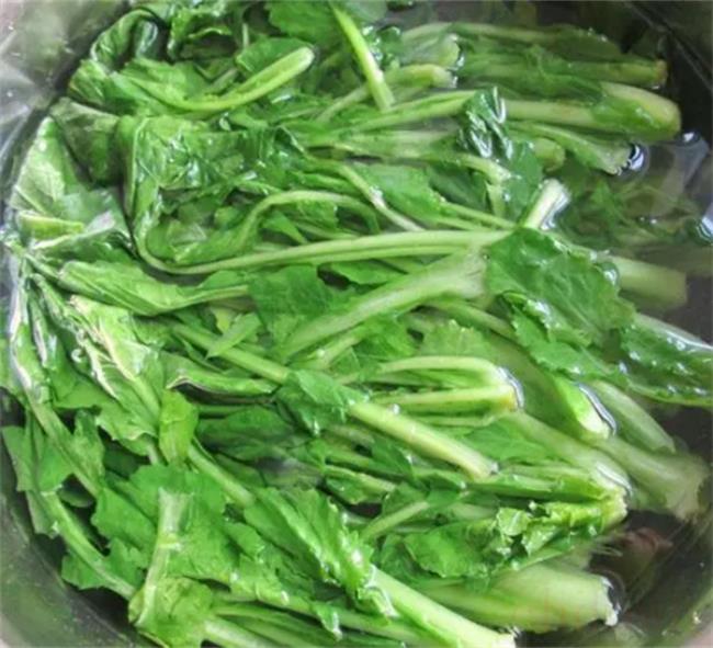 苔菜为什么吃前要焯一下水（焯水是为了去除有害物质）