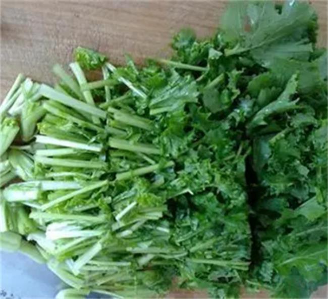 苔菜为什么吃前要焯一下水（焯水是为了去除有害物质）
