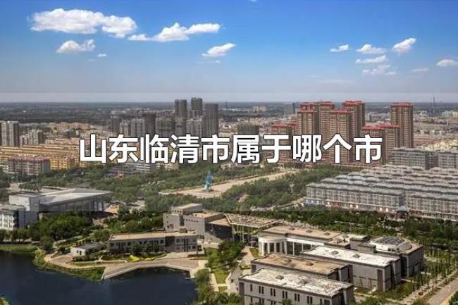 山东临清市属于哪个市（山东临清市的行政区划）