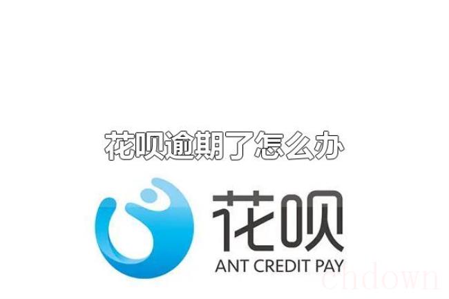 花呗逾期了怎么办（会造成什么后果）