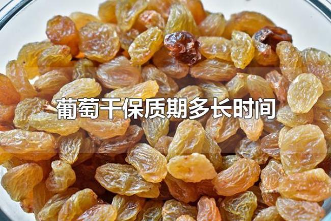 葡萄干保质期多长时间(葡萄干怎么算坏了) 葡萄干保质期多长时间(葡萄干怎么算坏了)