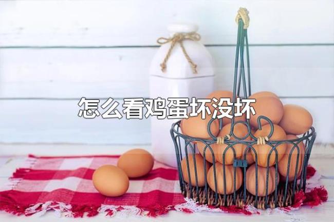 怎么看鸡蛋坏没坏（鸡蛋变质能吃吗）