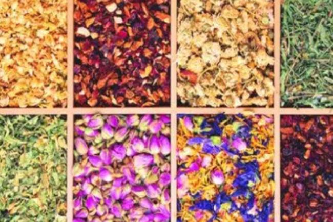 花茶有几种哪种花茶最好（花茶是什么）