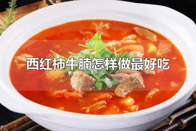 西红柿牛腩怎样做最好吃（做好西红柿牛腩的关键是什么）
