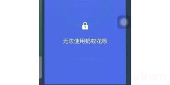 最近花呗借呗全停了啥情况（花呗借呗会无缘无故被关吗）