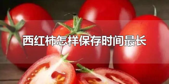 西红柿怎样保存时间最长（西红柿可以保存多久）