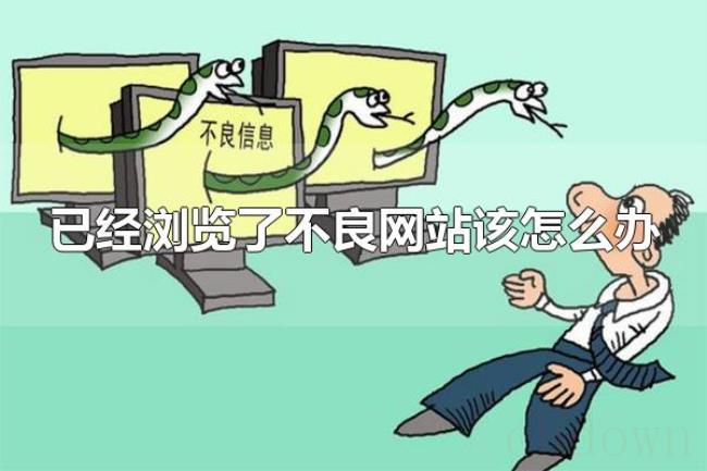 已经浏览了不良网站该怎么办（如何避免不良网站）