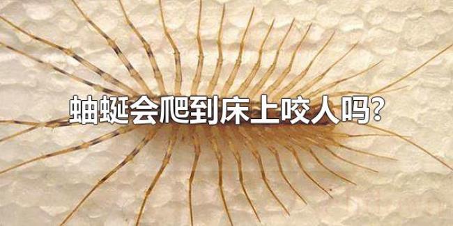 蚰蜒会爬到床上咬人吗?（蚰蜒分布在全国大多数地方）