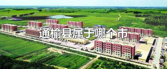 通榆县属于哪个市(通榆县面积有多大) 通榆县属于哪个市(通榆县面积有多大)