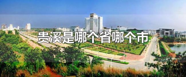 贵溪是哪个省哪个市（贵溪的面积有多大）