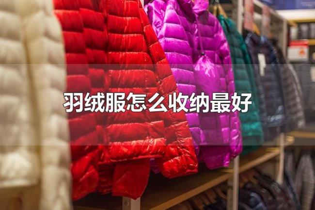 羽绒服怎么收纳最好（羽绒服如何清洗）