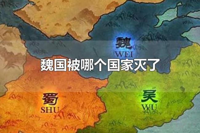 魏国被哪个国家灭了（魏国被秦国灭了）