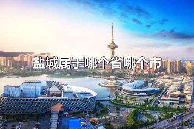 盐城属于哪个省哪个市（盐城的区位规划）