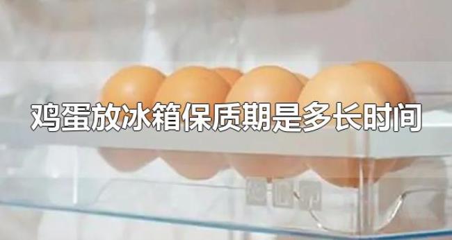 鸡蛋放冰箱保质期是多长时间(鸡蛋可以做成什么食物) 鸡蛋放冰箱保质期是多长时间(鸡蛋可以做成什么食物)