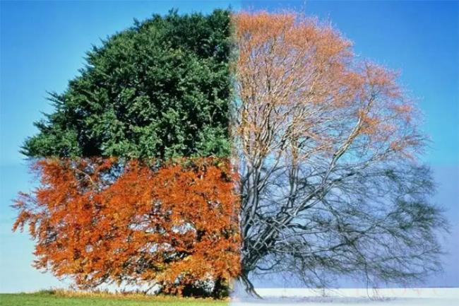 四月是什么季节?(四季是怎么划分的) 四月是什么季节?(四季是怎么划分的)
