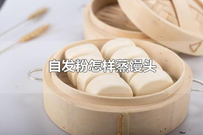 自发粉怎样蒸馒头(蒸馒头一般蒸多长时间) 自发粉怎样蒸馒头(蒸馒头一般蒸多长时间)