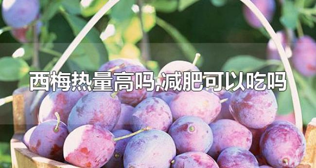 西梅热量高吗,减肥可以吃吗(西梅怎么吃) 西梅热量高吗,减肥可以吃吗(西梅怎么吃)