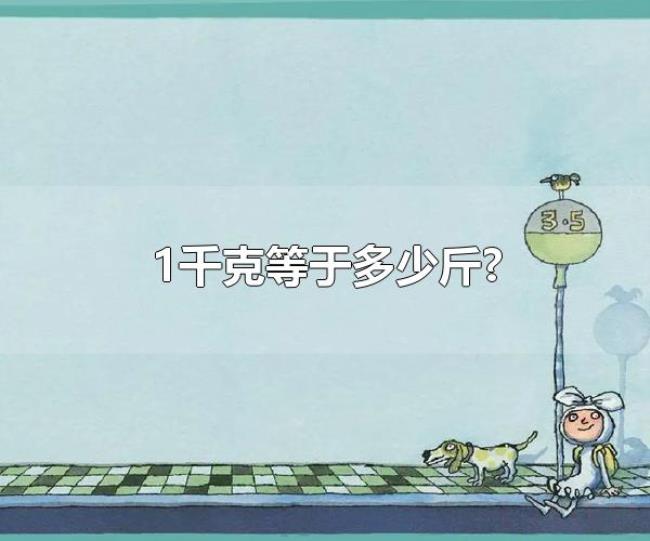 1千克等于多少斤?（千克和斤与其他质量单位的换算）