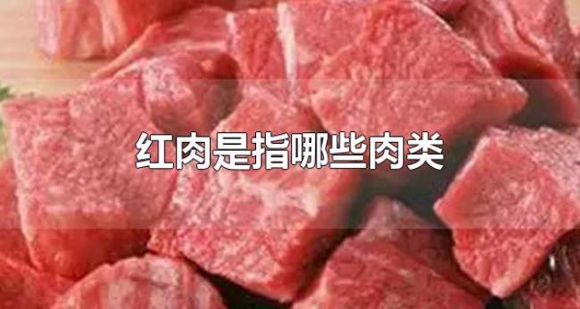 红肉是指哪些肉类(红肉与白肉的区别是什么) 红肉是指哪些肉类(红肉与白肉的区别是什么)