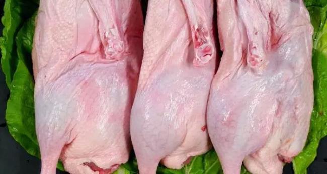 红肉是指哪些肉类（红肉与白肉的区别是什么）