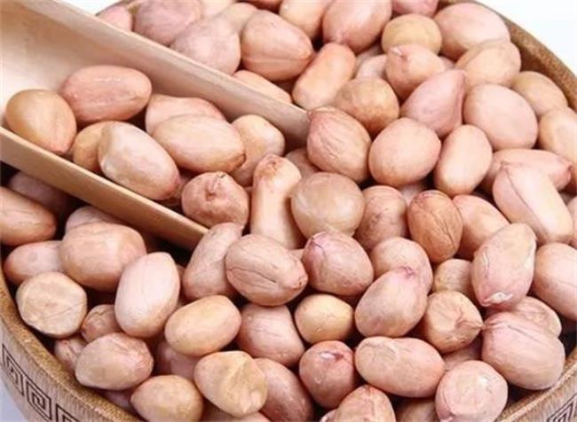 芹菜花生米凉菜怎么做(芹菜花生米凉菜的营养价值) 芹菜花生米凉菜怎么做(芹菜花生米凉菜的营养价值)