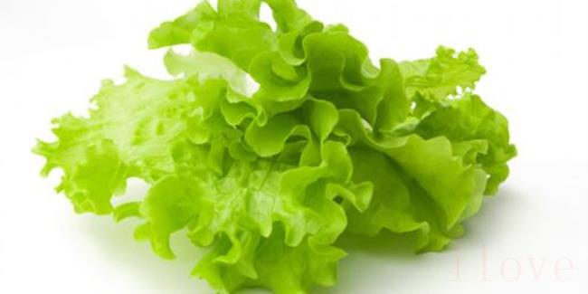 1～3月份适合种什么菜（1～3月份可以种植萝卜吗）