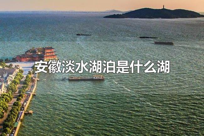 安徽淡水湖泊是什么湖（巢湖是安徽最大的淡水湖）