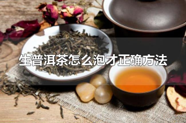 生普洱茶怎么泡才正确方法（生普洱茶的特色）