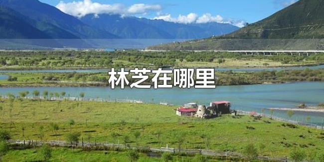 林芝在哪里（林芝属于哪里）