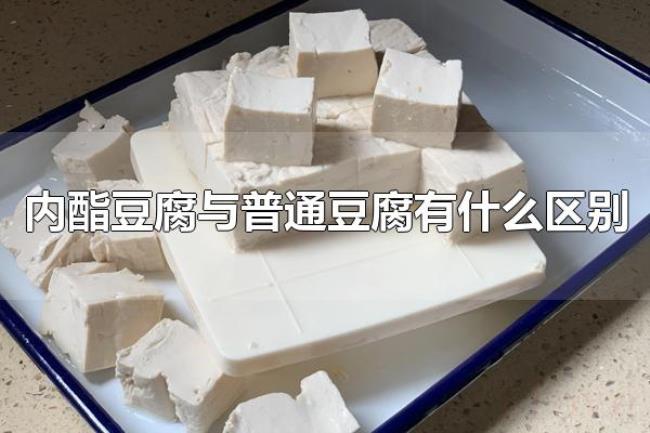 内酯豆腐与普通豆腐有什么区别（内酯豆腐与普通豆腐的口感一样吗）