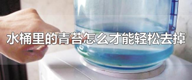 水桶里的青苔怎么才能轻松去掉(大米水轻松清理水桶青苔) 水桶里的青苔怎么才能轻松去掉(大米水轻松清理水桶青苔)