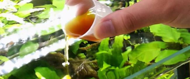 水桶里的青苔怎么才能轻松去掉（大米水轻松清理水桶青苔）
