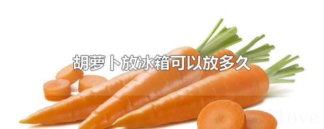 胡萝卜放冰箱可以放多久