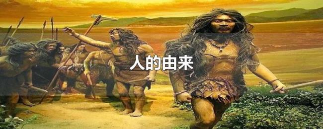 人的由来 人的由来