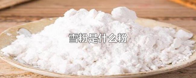 雪粉是什么粉 雪粉是什么粉