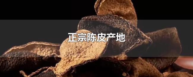 正宗陈皮产地