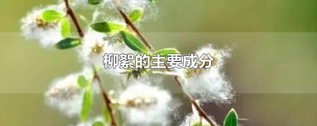柳絮的主要成分