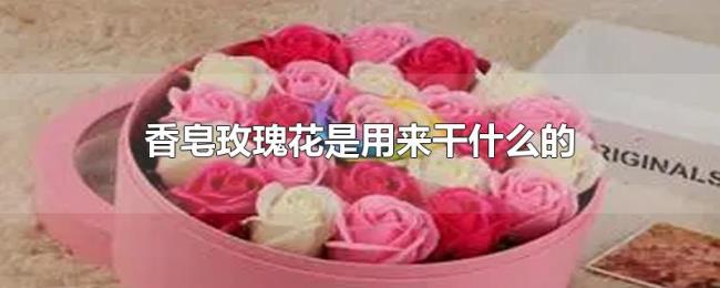 香皂玫瑰花是用来干什么的 香皂玫瑰花是用来干什么的