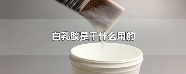 白乳胶是干什么用的